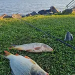 Leda Vendeghaz Balatonfenyves