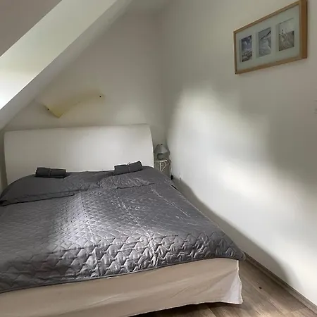 Leda Vendeghaz Balatonfenyves