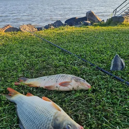Leda Vendeghaz Balatonfenyves