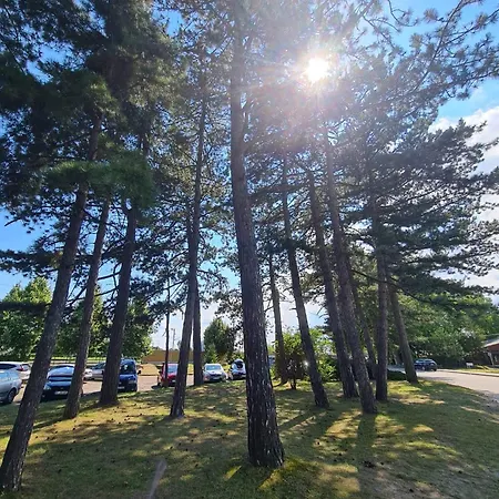 Апартаменты Leda Vendeghaz *