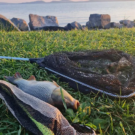 Leda Vendeghaz Apartment *