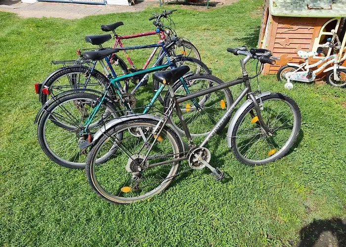 Leda Vendeghaz * バラトンフェニヴェシュ