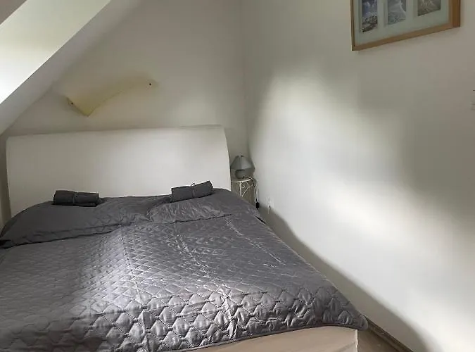 Leda Vendeghaz バラトンフェニヴェシュ