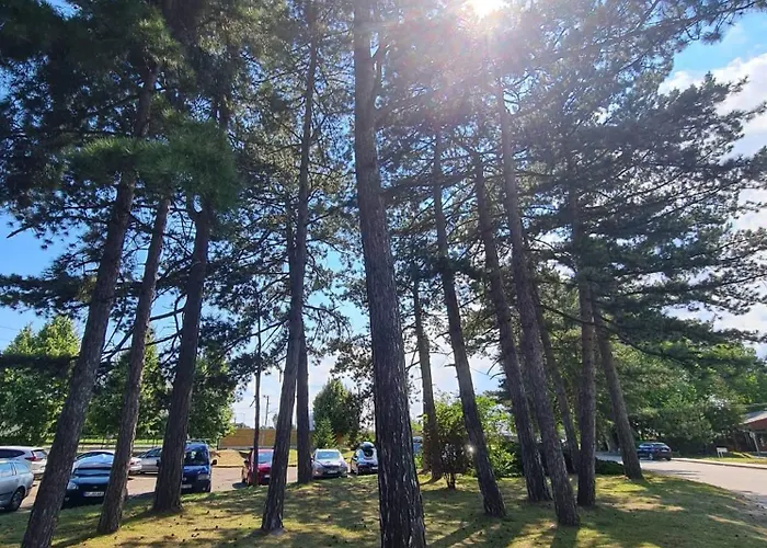 アパート Leda Vendeghaz *