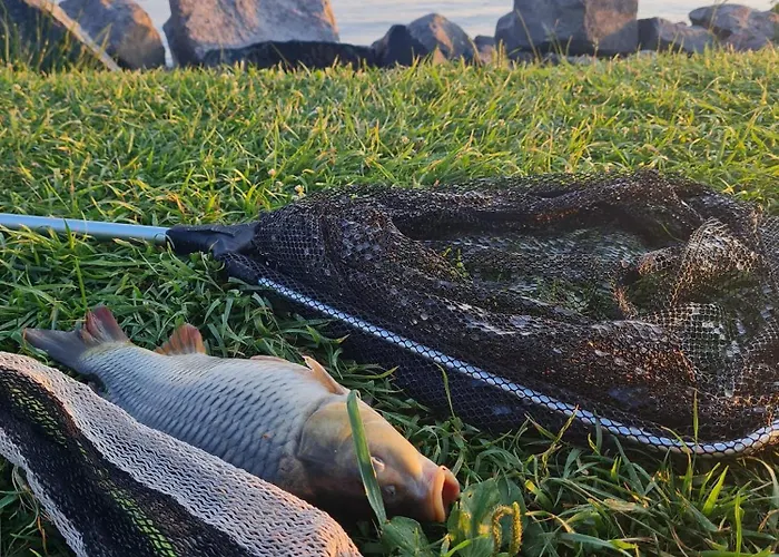 Leda Vendeghaz アパート *